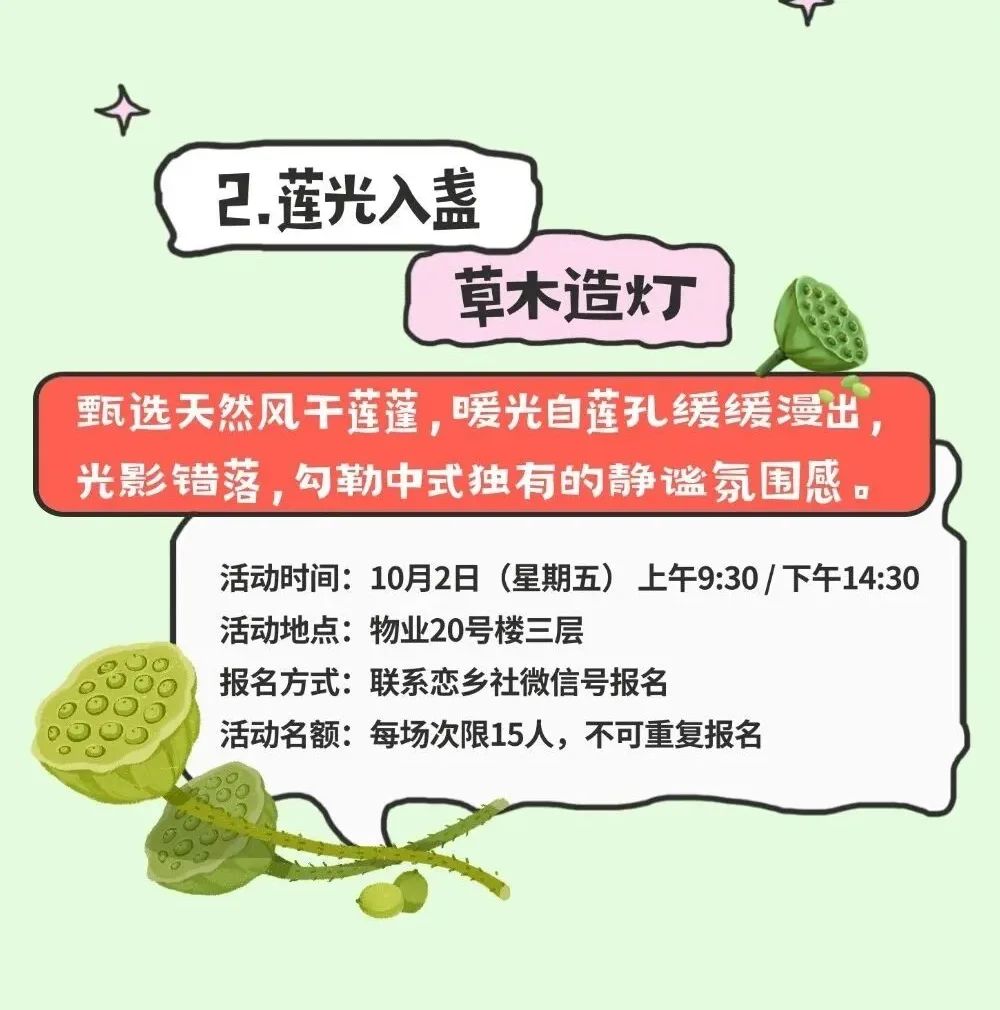 莲光入盏